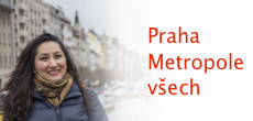 vyzaduji