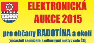 E-aukce
