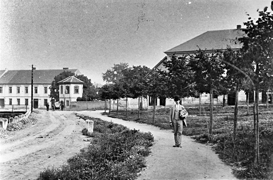 Stará náves u potoka s čerstvě vysázenými jírovci (dnešní světelná křižovatka)