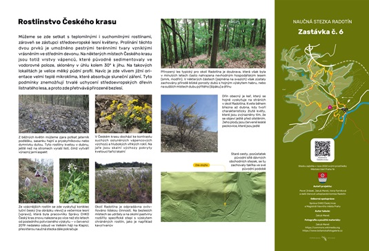 Naučná stezka Radotín - zastávka č. 6: Rostlinstvo Českého krasu Naučná stezka Radotín - zastávka č. 6: Rostlinstvo Českého krasu