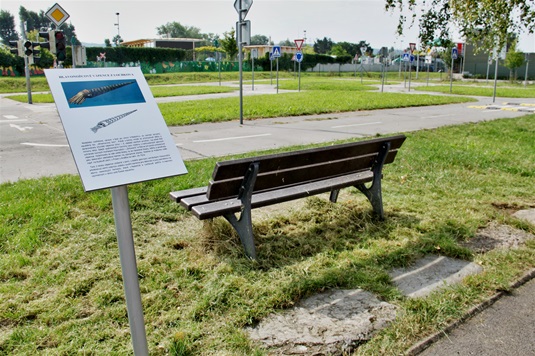 Instalace informační tabule k hlavonožcovým kamenům, 25.8.2017 Instalace informační tabule k hlavonožcovým kamenům, 25.8.2017