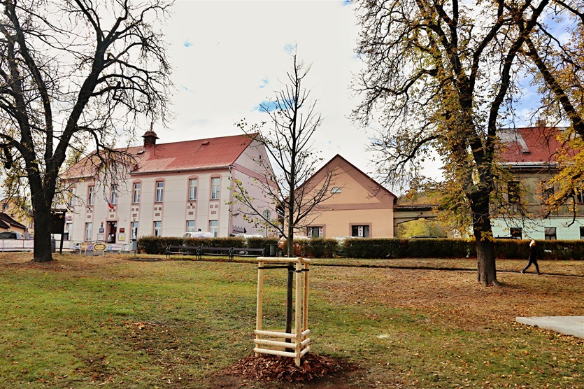Strom republiky na náměstí Osvoboditelů, 24.10.2018 Strom republiky na náměstí Osvoboditelů, 24.10.2018