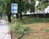 Popadané větve v centru Radotína, 17.8.2023