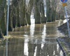 Voda 16.1.2011, 14 hodin