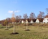 Náhradní výsadba, cyklostezka, 30.11.2020