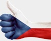 Výsledky voleb do Poslanecké sněmovny Parlamentu České republiky