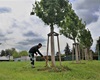 Zálivka stromů, 17.5.2023