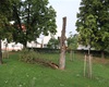 Popadané větve v centru Radotína, 17.8.2023