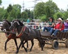 Velké radotínské rodeo o senátorský pohár, 23.5.2015