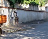 Blokové čištění: Vinohrady, Pod Klapicí, 14.5.2024