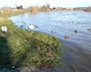 Voda 16.1.2011, 14 hodin