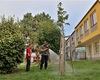 Dobrovolní hasiči zalévají stromy; 14.8.2023