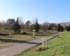 Náhradní výsadba za železnici, okolí Biotopu, 30.11.2020