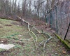 Urnový háj, 10.2.2020
