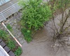 Berounka na prvním povodňovém stupni; 14.5.2021