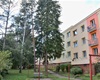 Kácení stromu, Týřovická, 3.9.2020