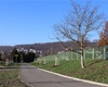 Náhradní výsadba za železnici, okolí Biotopu, 30.11.2020