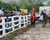 Velké Radotínské rodeo, 4.5.2013, foto: Květa Hla Shwe