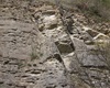 Geologická vycházka se Štěpánem Rakem, 9.4.2017