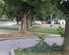 Popadané větve v centru Radotína, 17.8.2023