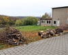 Sázení nových stromů, 5.11.2019