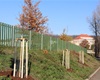 Náhradní výsadba za železnici, okolí Biotopu, 30.11.2020