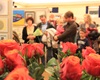 Vernisáž výstavy radotínských výtvarníků, 21.11.2015