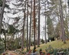 Urnový háj, 10.2.2020