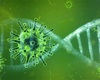 Koronavirus