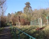 Náhradní výsadba za železnici. Dětské hřiště Radkovská (u portálu), 30.11.2020