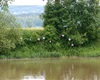 stanoviště skautů