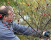 Čištění břehu od náletových křovin provádí zaměstnanci Technických služeb Praha - Radotín, 24.10.2016 Čištění břehu od náletových křovin provádí zaměstnanci Technických služeb Praha - Radotín, 24.10.2016