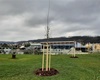 Náhradní výsadba za železnici. Areál Biotopu, 7.12.2020
