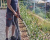 První kontrola a intenzivní zálivka letošních nových stromů a keřů, 3.6.2022