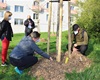 Předání jarní výsadby 56 dřevin, 30.4.2021