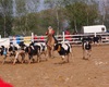 Velké Radotínské rodeo, 4.5.2013