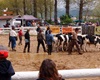 Velké Radotínské rodeo, 4.5.2013