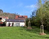 Předání jarní výsadby 56 dřevin, 30.4.2021