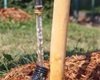 První kontrola a intenzivní zálivka letošních nových stromů a keřů, 3.6.2022