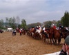 Velké Radotínské rodeo, 4.5.2013