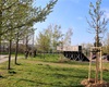 Předání jarní výsadby 56 dřevin, 30.4.2021
