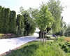 Břeh pod Ondřejem, 31.5.2021
