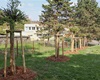 Předávání nových stromů a keřů z letošní jarní výsadby, 4.5.2022