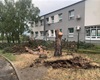 Bouřka, 16.8.2023
