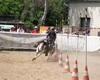 Velké radotínské rodeo o senátorský pohár, 21.5.2016
