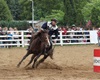 Velké radotínské rodeo o senátorský pohár, 23.5.2015