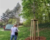 Předávání nových stromů a keřů z letošní jarní výsadby, 4.5.2022