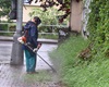 Blokové čištění, Věštínská a okolí, 13.5.2021
