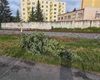 Bouřka a silný vítr polámal větve a stromy v Radotíně, od ranních hodin škody odklízí pracovníci místních technických služeb, 30.6.2021