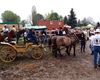 Velké Radotínské rodeo, 4.5.2013